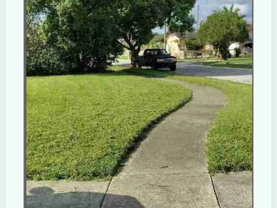 Lawn Care service in Tavares, 32778