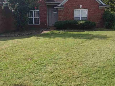 Lawn Care service in Gallatin, 37066