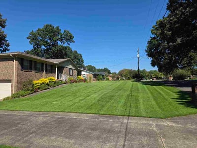 Lawn Care service in Gardendale, 35071