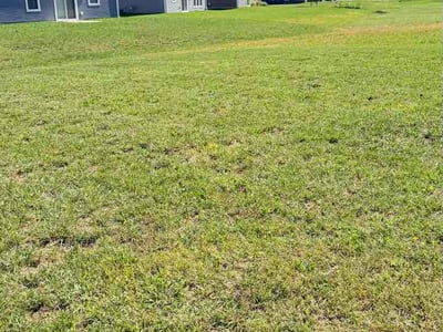 Lawn Care service in Brownsburg, 46112
