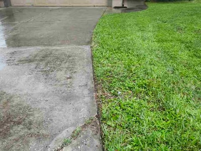Lawn Care service in Mount Dora, 32757