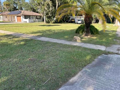 Lawn Care service in Daytona Beach, 32114