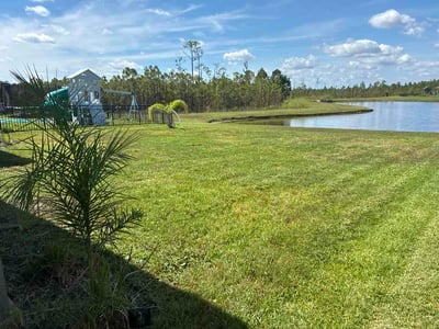 Lawn Care service in Daytona Beach, 32114