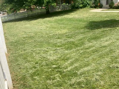 Lawn Care service in Hermitage, 37076