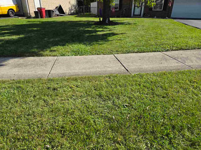 Lawn Care service in Logan, 43138