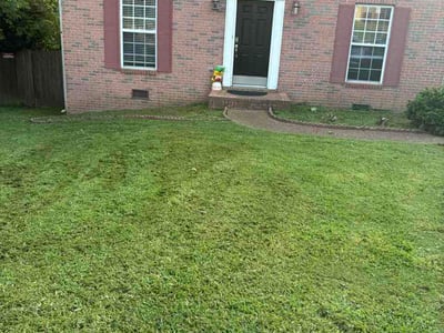 Lawn Care service in Dickson, 37055