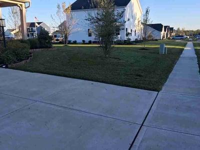 Lawn Care service in Piqua, 45356