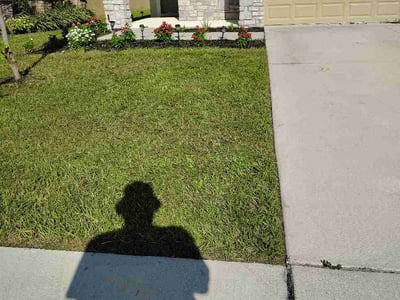 Lawn Care service in Eustis, 32726