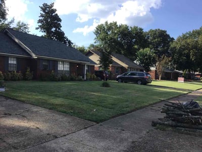 Lawn Care service in Germantown, 38138
