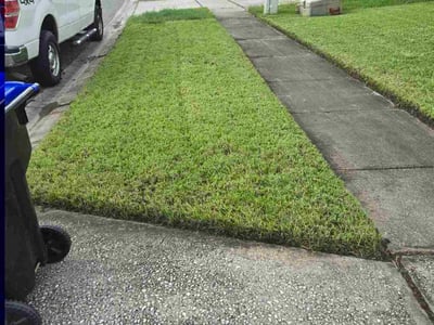 Lawn Care service in Casselberry, 32707