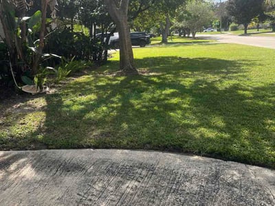 Lawn Care service in Casselberry, 32707