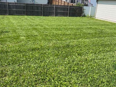 Lawn Care service in Joliet, 60432