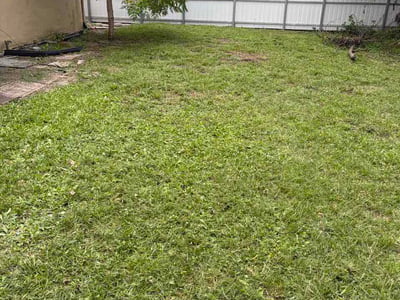 Lawn Care service in Miramar, 33025