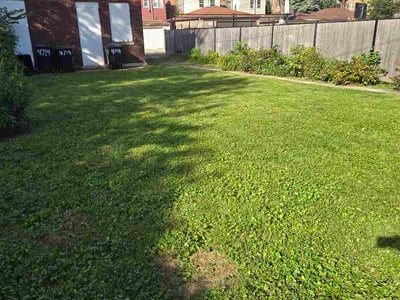 Lawn Care service in Huntley, 60142