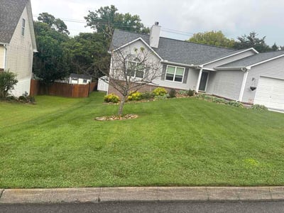 Lawn Care service in Corryton, 37721