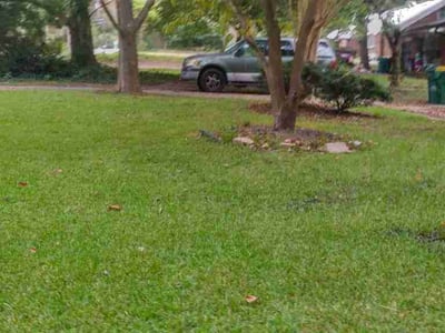 Lawn Care service in Forest Park, 30297
