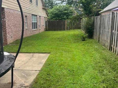 Lawn Care service in Cordova, 38018