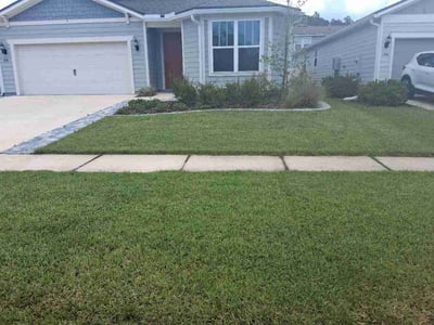 Lawn Care service in Deerfield Beach, 33441