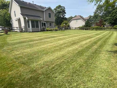 Lawn Care service in Holland, 43528