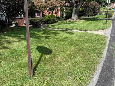 Lawn Care service in Dunbar, 15431