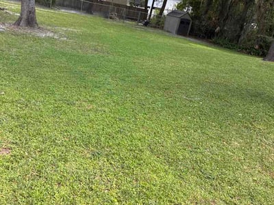 Lawn Care service in Lakeside, 32065