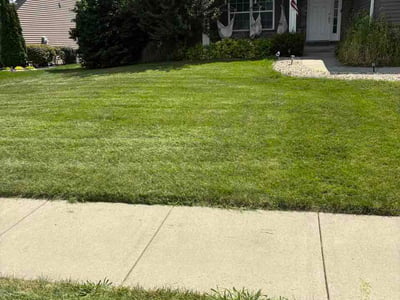 Lawn Care service in Dyer, 46311