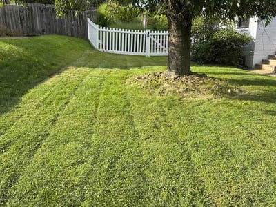 Lawn Care service in Dunbar, 15431