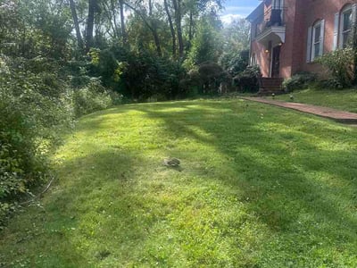 Lawn Care service in Chevy Chase, 20815