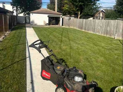 Lawn Care service in Des Plaines, 60016