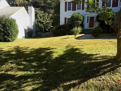 Lawn Care service in Chevy Chase, 20815
