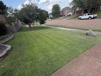 Lawn Care service in Arlington, 38002