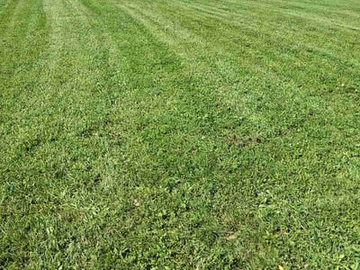 Lawn Care service in Duquesne, 15110