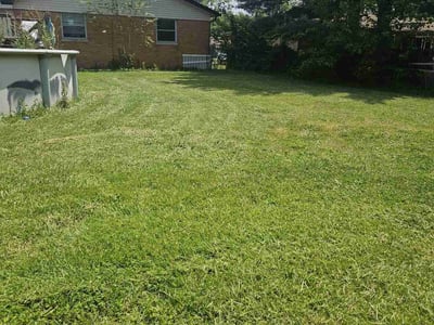 Lawn Care service in Duquesne, 15110