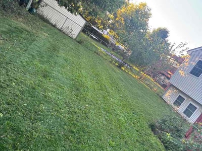 Lawn Care service in Galloway, 43119