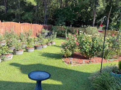 Lawn Care service in Gaston, 29053