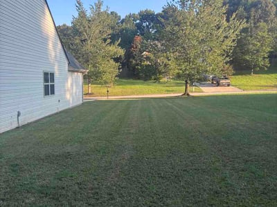 Lawn Care service in Temple, 30179