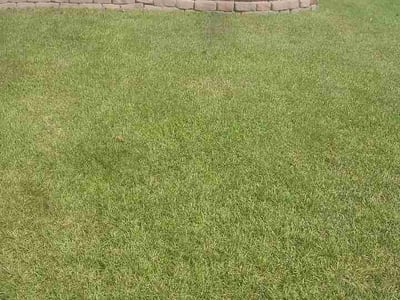 Lawn Care service in Loris, 29569