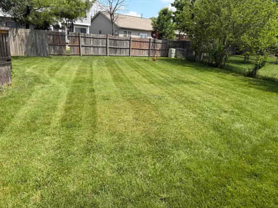 Lawn Care service in Lewis Center, 43035