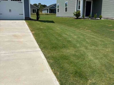 Lawn Care service in Cayce, 29033