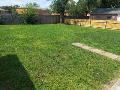 Lawn Care service in Mount Gilead, 43338