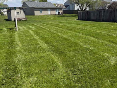 Lawn Care service in Avon, 06001