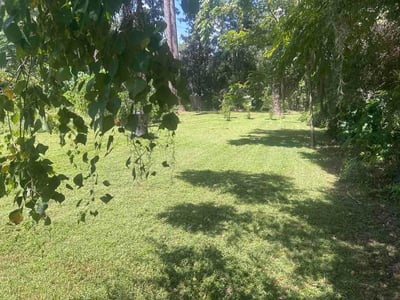 Lawn Care service in Willimantic, 06226