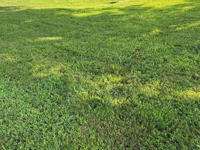 Lawn Care service in Roswell, 30075