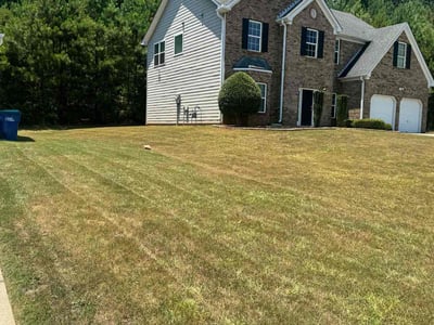 Lawn Care service in Avon, 06001