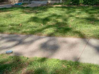 Lawn Care service in Willimantic, 06226