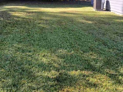 Lawn Care service in College Park, 30337