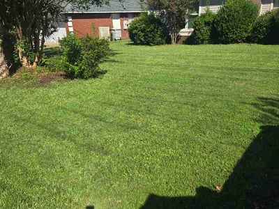 Lawn Care service in Gulf Breeze, 32561