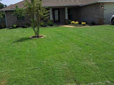 Lawn Care service in Gulf Breeze, 32561