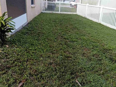 Lawn Care service in Zephyrhills, 33542