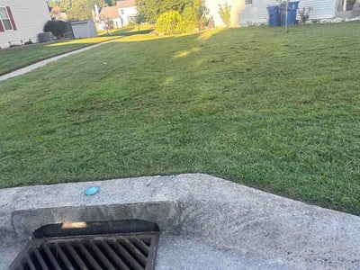 Lawn Care service in Canonsburg, 15317